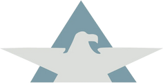 AIE (American International Electric)